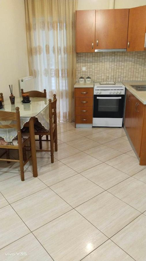 Ομορφο Διαμερισμα Στο Κεντρο Της Πολης Με Παρκιν Apartment Trikala  Bagian luar foto